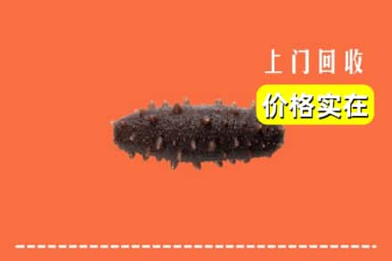 苏州市回收海参
