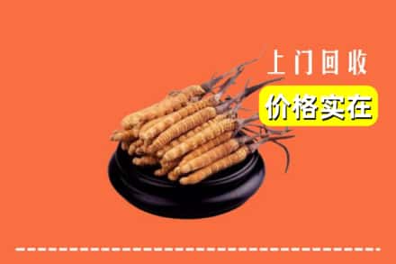 苏州市回收冬虫夏草