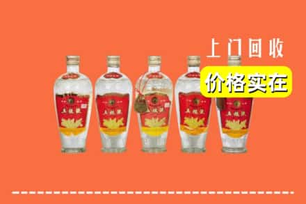 苏州市回收老五粮液
